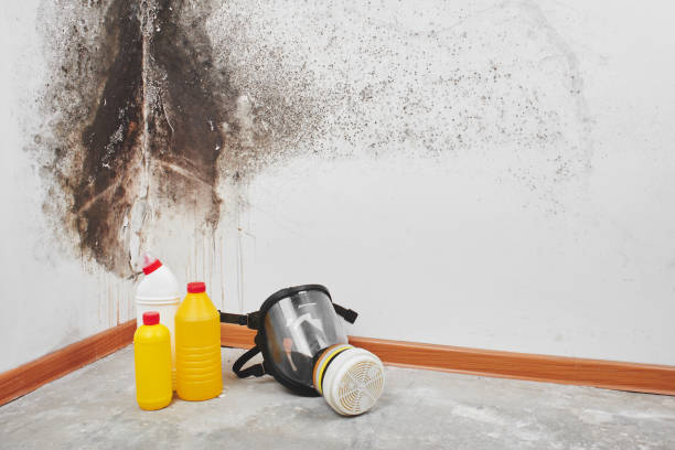 Water Damage Restoration in Harlan, IN